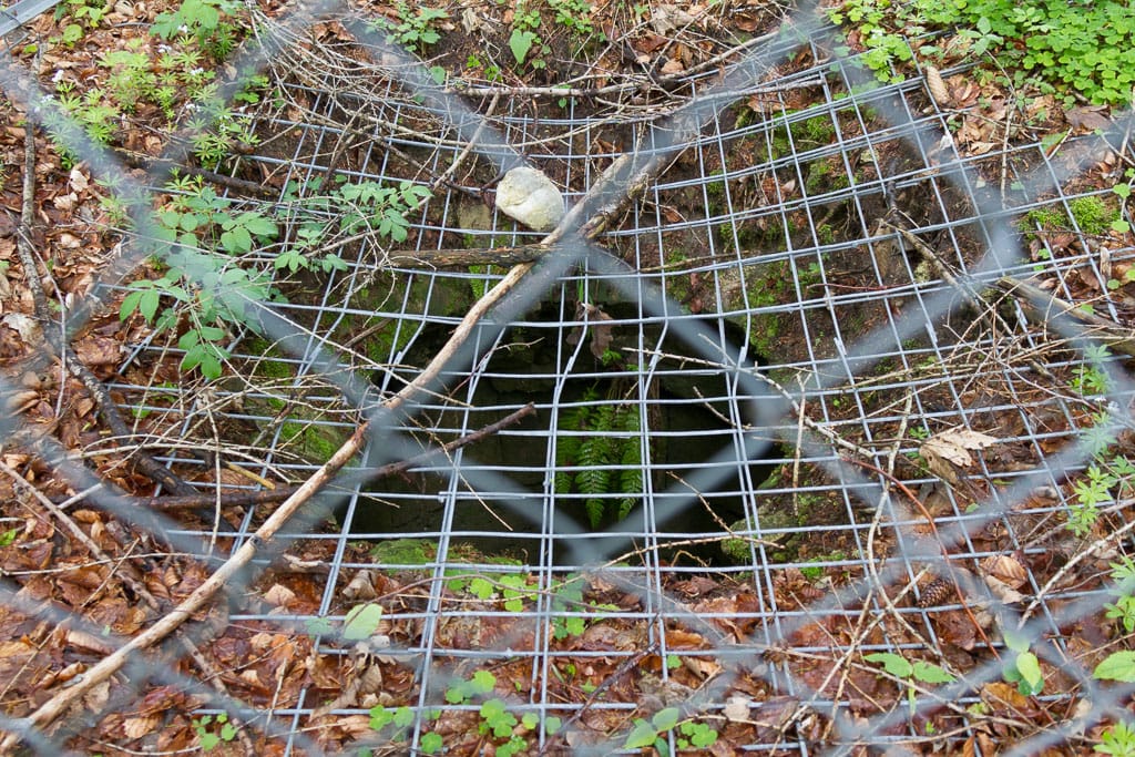 Burgruine Liebenthann<br />(Obergünzburg - Unterallgäu / 2014)