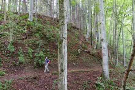 Unterallgäu: Dillingerweg (Obergünzburg)