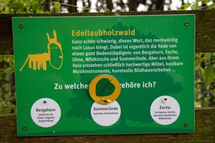 Oberallgu: Hauchenberg (Immenstadt)