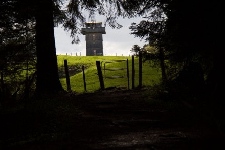 Oberallgäu: Auf den Hauchenberg vom Bergbauernmuseum Diepolz aus (Immenstadt)