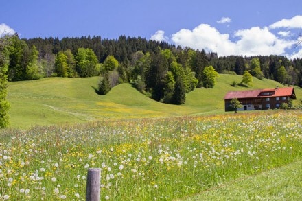 Oberallgäu: Starzlachklamm, Burgruine Fluhenstein, Bildstöckl, Bläßerkopf und Wolfsbüchel (Sonthofen)