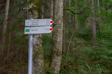 Von der Fallmühle auf den Breitenberg zum Aggenstein