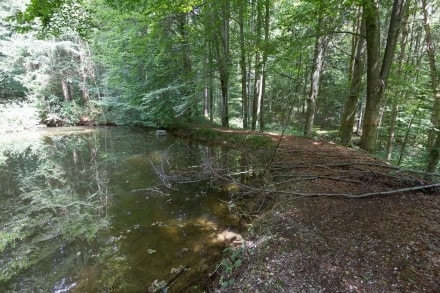 Unterallgäu: Teich - Mühle Liebenthann (Obergünzburg)