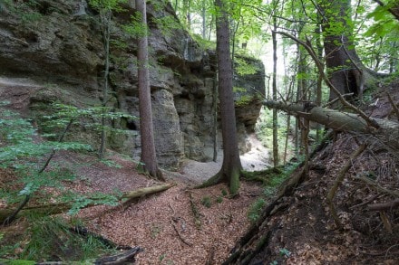 Unterallgäu: Tour (Obergünzburg)