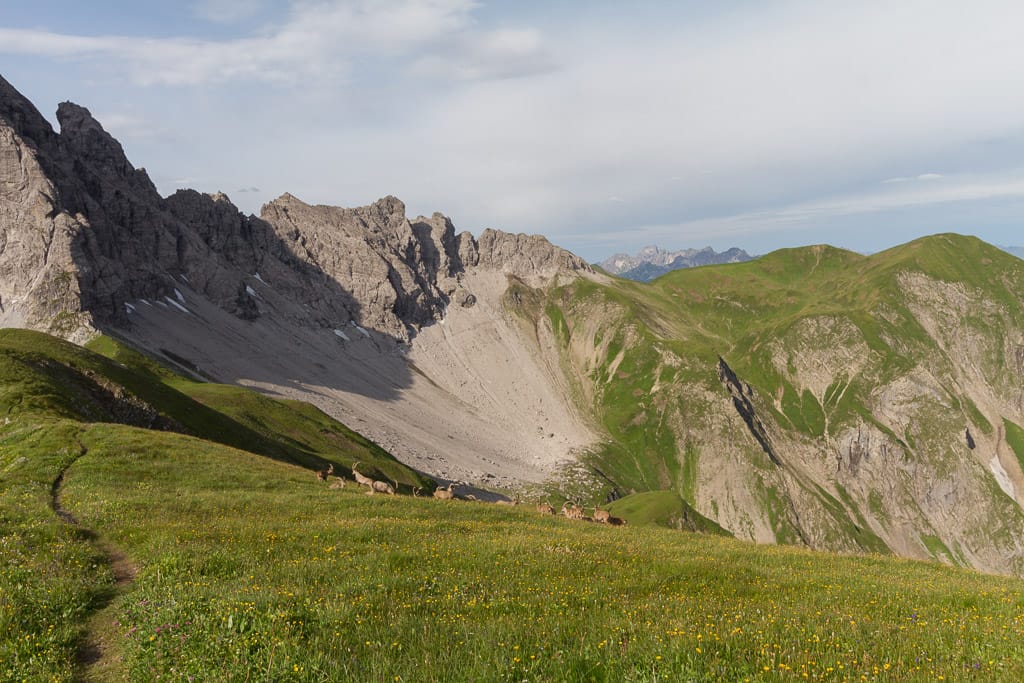 Hinterhornbachkette: Rauheck und Kreuzeck (Reutte - Tirol / 2014)
