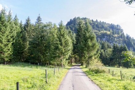 Ostallgäu: Von der Hornburg auf den Rohrkopf (Füssen)