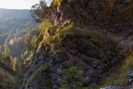 Tannheimer Tal: Krottental (Nesselwängle)