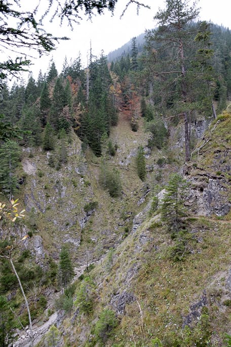 Krottental<br />(Nesselwängle - Tannheimer Tal / 2014)