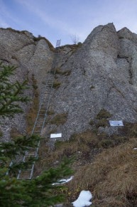 Oberallgäu: Steineberg (Immenstadt)