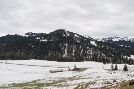 Siplingerkopf und die 2000 Jahre alte Eibe