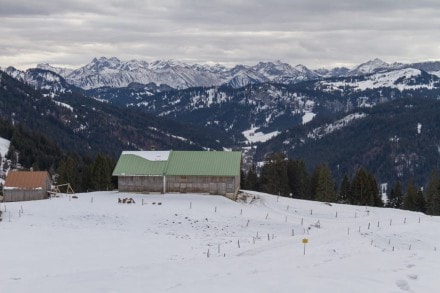 Westallgäu: Alpe Oberbalderschwang (Balderschwang)