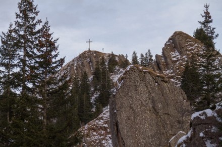 Westallgäu: Siplingerkopf und die 2000 Jahre alte Eibe (Balderschwang)