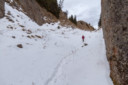 Westallgäu: Siplingerkopf (Balderschwang)