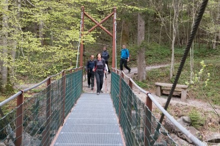 Oberallgu: Tarzansteg (Oberstaufen)