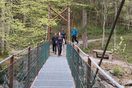 Oberallgäu: Tarzansteg (Oberstaufen)