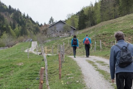Oberallgäu: Alpe Sonnhald (Oberstaufen)