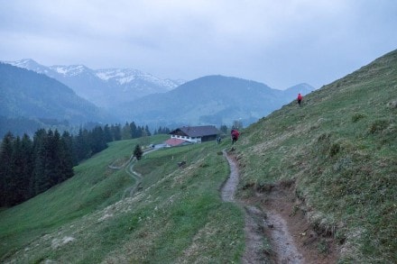 Oberallgäu: Alpe Bärenschwand (Oberstaufen)