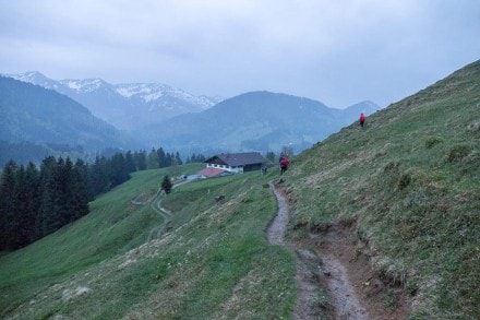 Oberallgu: Alpe Brenschwand (Oberstaufen)