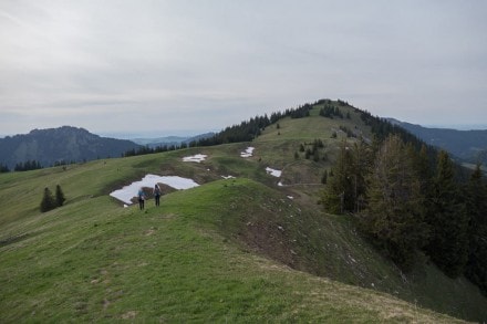 Tannheimer Tal:  (Zöblen)