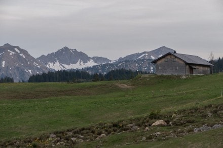 Tannheimer Tal: Pfrontner Alpe (Zblen)