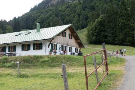 Oberallgäu: Hintere Au Alpe (1.058m) (Gunzesried)