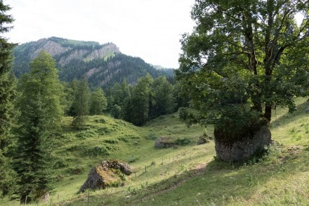 Oberallgäu: Findling (Gunzesried)