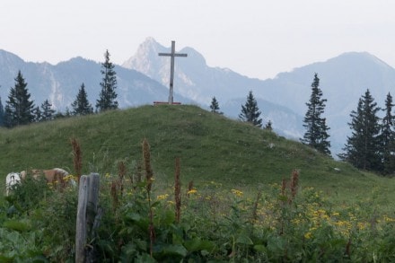 Tannheimer Tal: Älpele Alpen Gipfel (Tannheim)