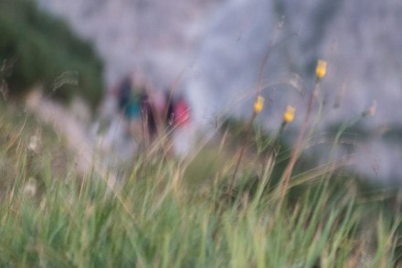 Oberallgäu: Jägersteig (Hinterstein)