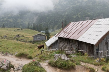 Tannheimer Tal: Sebenalpe (Grn)