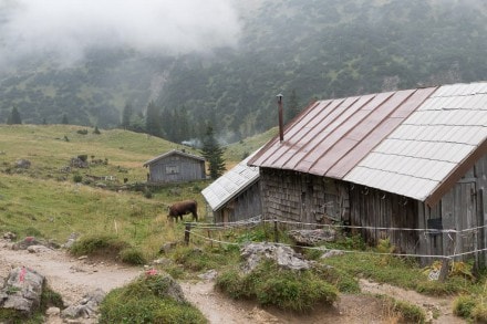 Tannheimer Tal: Sebenalpe (Grän)