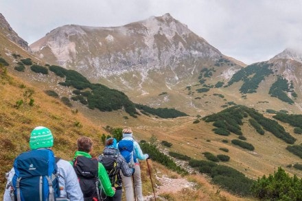 Oberallgäu: Lahnerkopf (Bad Hindelang)