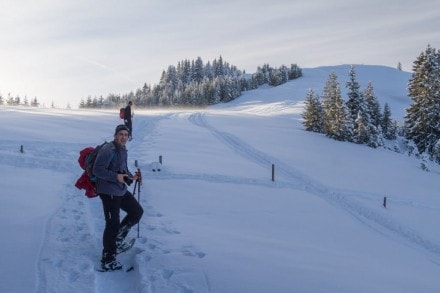 Westallgäu: Hochschelpen (Balderschwang)