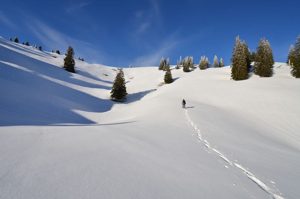 Bergtour auf den Girenkopf (Balderschwang - Westallgäu / 2015)