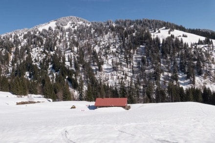 Westallgäu: Obere Socheralpe (1.247m) (Balderschwang)