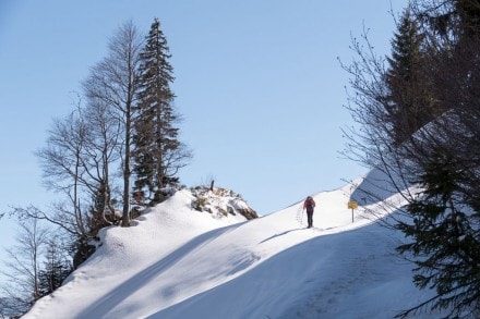 Westallgu:  (Balderschwang)