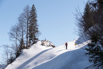 Westallgäu:  (Balderschwang)