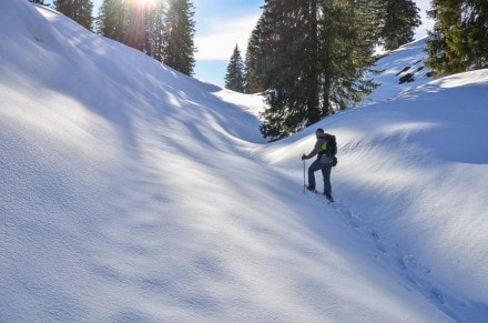 Westallgäu: Girenkopf (Balderschwang)