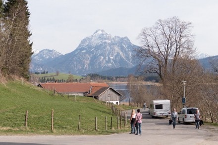 Hopfensee - Rundwanderung - Burgruine Hopfen am See