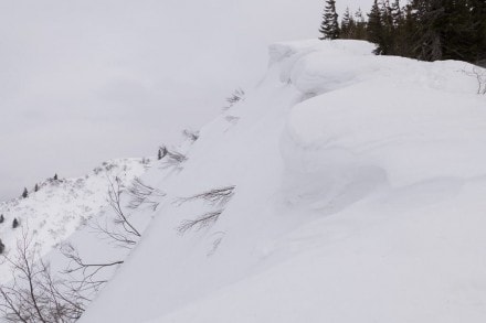 Oberallgäu: Riedberger Horn und via Höhengratweg zum Grauer Stein (Sonthofen)