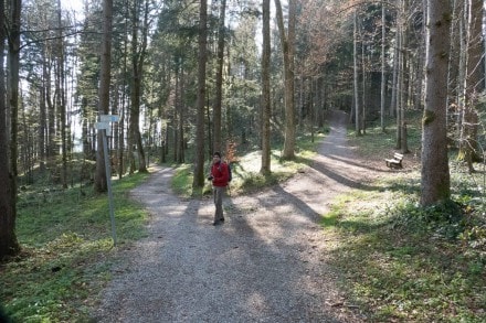 Oberallgu: Naturpark Rainwald (Oberstaufen)