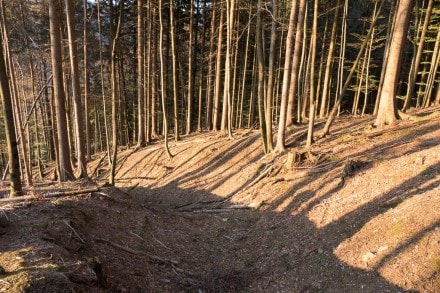 Oberallgäu: Osterdorfer Tobel (Oberstaufen)