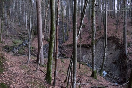 Oberallgäu: Tour (Oberstaufen)