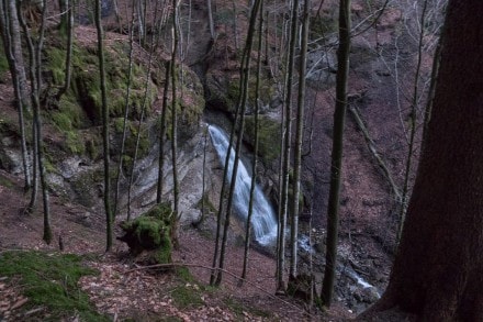 Oberallgäu: Weissenbachtobel bei Thalkirchdorf (Oberstaufen)