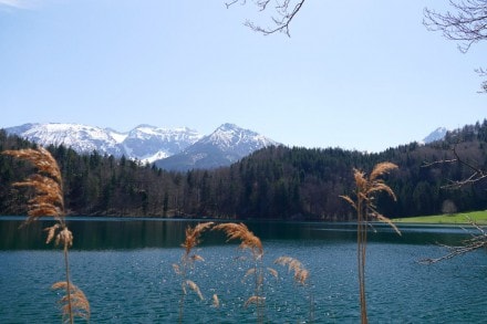 Ostallgäu: Tour (Füssen)