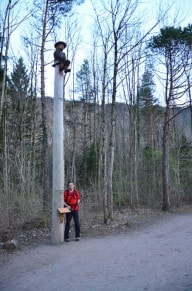 Ostallgäu: Walderlebniszentrum Ziegelwies (Füssen)