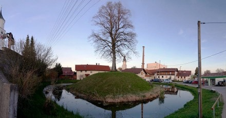 Oberallgu: Motte von Dietmannsried (677m) (Kempten)