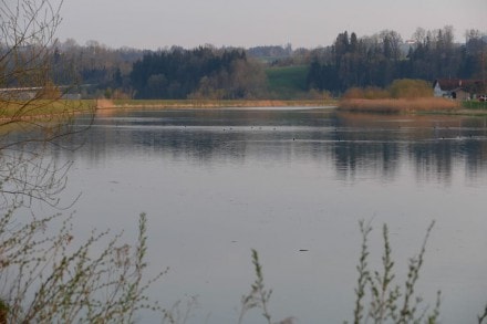 Oberallgäu: Iller (Kempten)