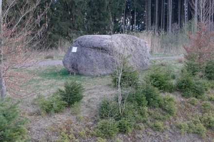 Oberallgäu: Findling aus tertiärem Nagelfluh (Kempten)