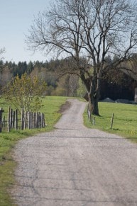 Oberallgäu: Von der Dietmannsried Motte ins Reicholzrieder Moos (Dietmannsried)