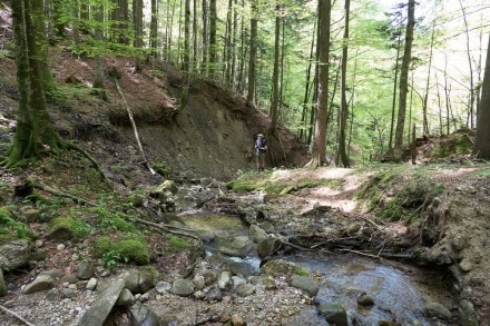 Oberallgäu: Weißenbachtobel (Oberstaufen)